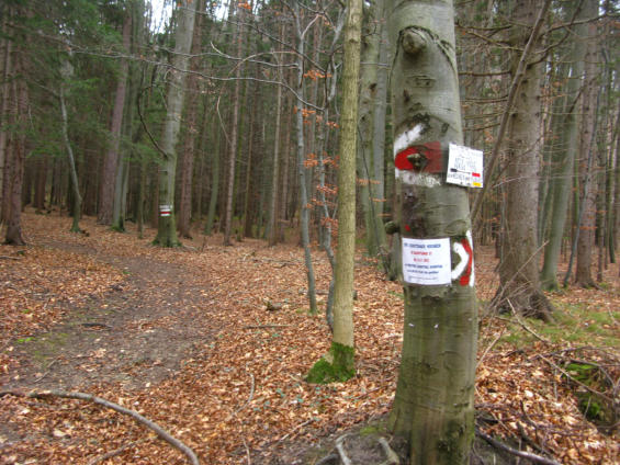 Meyringer Warte Hocheck